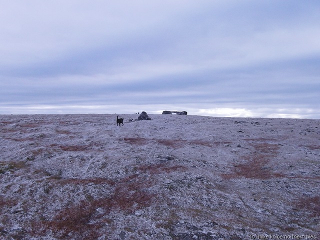 [cross fell 005[7].jpg]