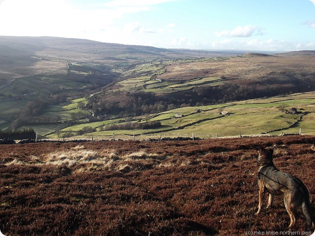 arkengarthdale and superdawg arkengarthdale and superdawg