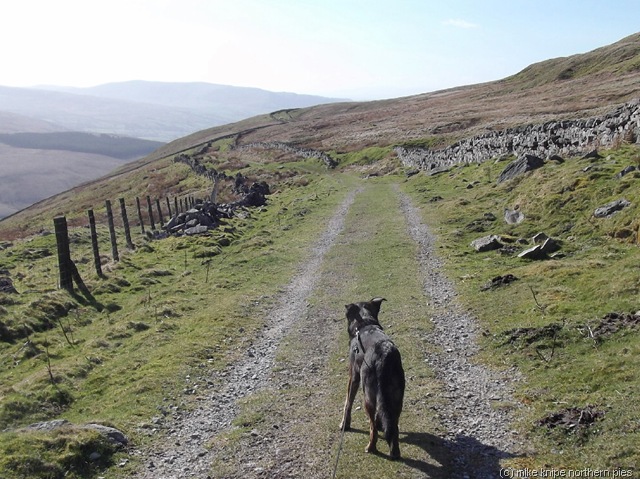 [ribblehead to dent 015[8].jpg]