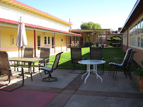 My front yard/patio/Salvation Army courtyard