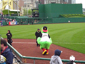 Pirate Parrot