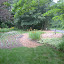 grasecksen's Backyard garden