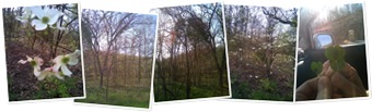 View Missouri Springtime