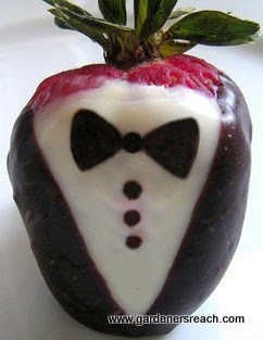 Strawberry Tuxedo