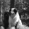 IMG_8641.JPG