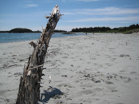 Taylor Head Provincial Park, Spry Bay, Nova Scotia
