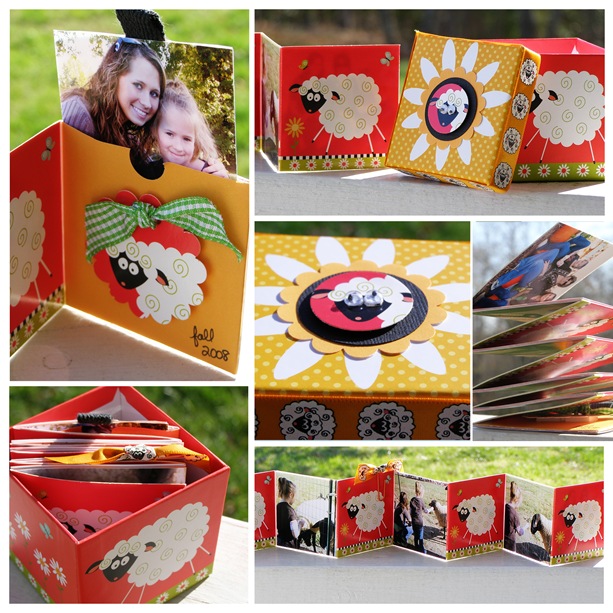 mini sheep box collage