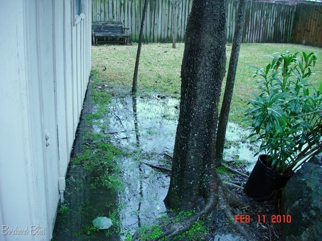[Backyard with water 5[6].jpg]