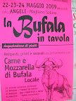 DSCN4231.JPG