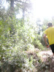 DSCN4237.JPG
