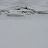 IMG_9483.JPG