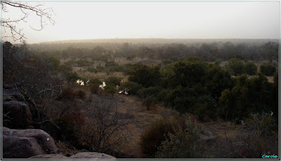 Vue sur le parc W, le soir