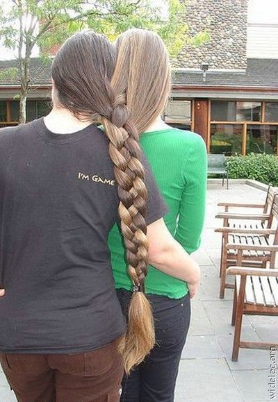 funny pictures 24 jpg