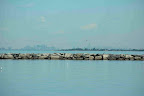 2009-05-12 Sandy Hook - &Agrave; l'ancre avec une vue sur New York (La marina n'est pas encore ouverte)