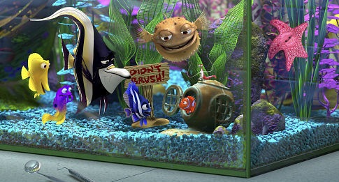[aquario11[5].jpg]