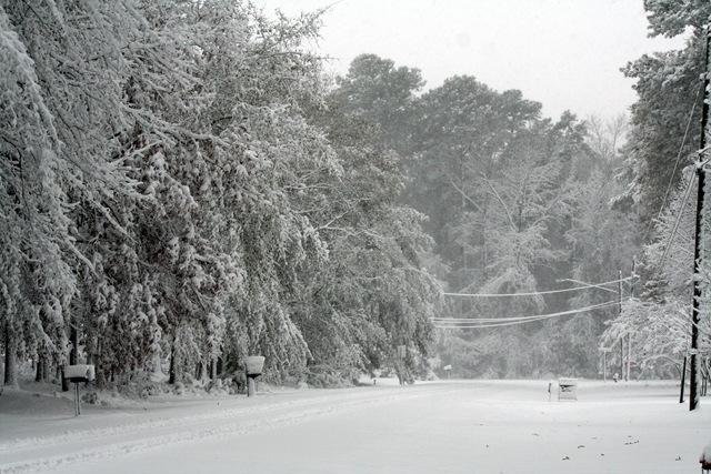 [snow3[3].jpg]