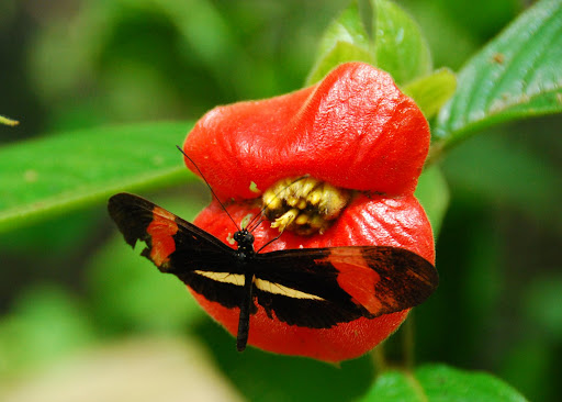 Aртисты российской эстрады вчера и сегодня