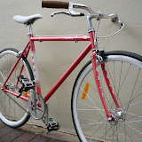 Fuji Feather