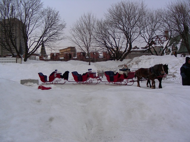 [DSCN31543.jpg]