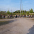100_3409.JPG