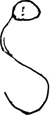 [Snake[3].png]