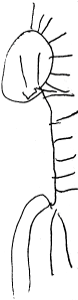 [creature[4].png]
