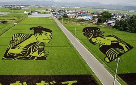Japan Rice Fields (9)
