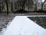 IMG_0099.JPG