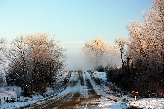 [Snowy Iowa Morning 12-2010 (24)[2].jpg]