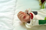 PICT4434.JPG