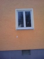 picasa image