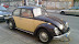 20100323_003.jpg