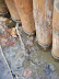 DSCF0905.JPG