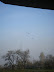 DSCF0974.JPG