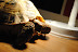DSC_0019.JPG