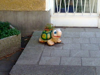 picasa image