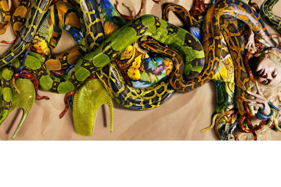 Alexander McQueen весна/лето 2010—Ракель Циммерман, Фотограф Ник Найт