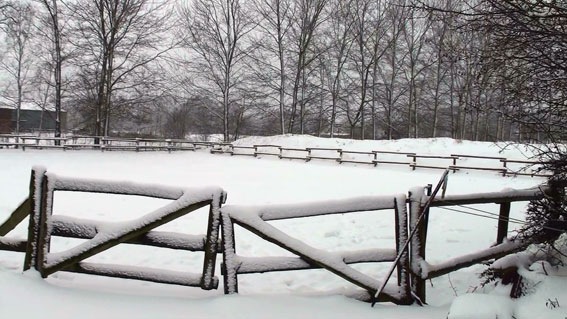 [winter1[3].jpg]