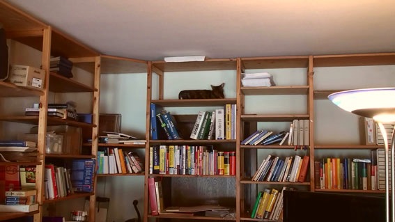 [20100221140103(2)[14].jpg]