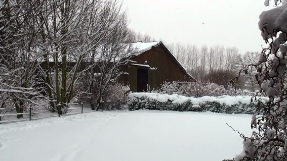 [schnee1[3].jpg]