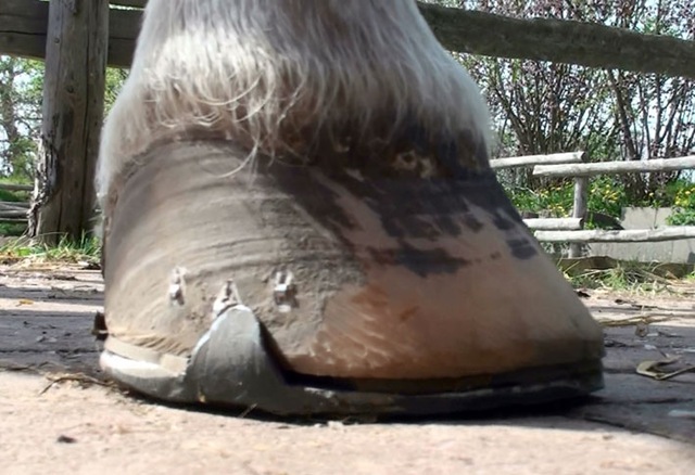 [20100427152428(2)[4].jpg]