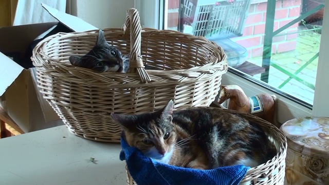 [20090904104541(1)[3].jpg]