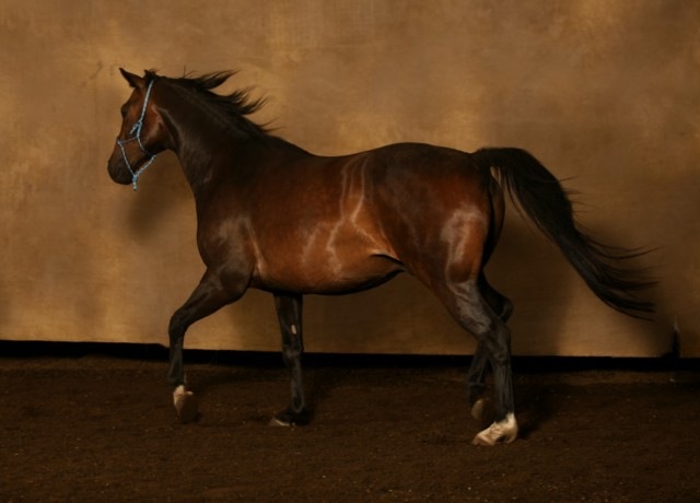 [IMG_1273 [640x480][3].jpg]