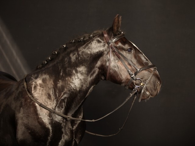 [IMG_4698 [640x480][3].jpg]