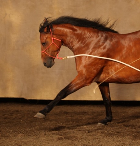 [Raw00228 [640x480][2].jpg]