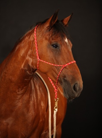 [Raw00206 [640x480][3].jpg]