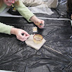 IMG_1746.JPG
