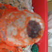 IMG_1921.JPG