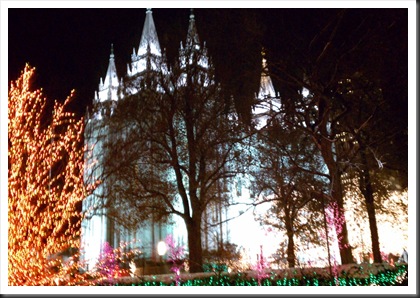 SL Temple Christmas lights
