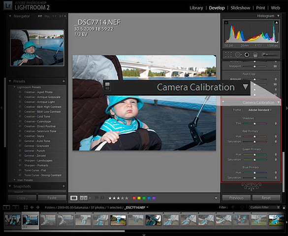 [lightroom-camera-calibration[8].jpg]